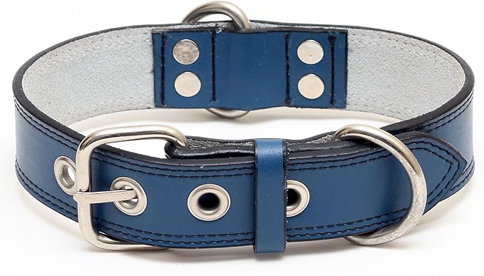 Premium Leather Collars with Stainless Steel Buckles (18"-21", Blue)