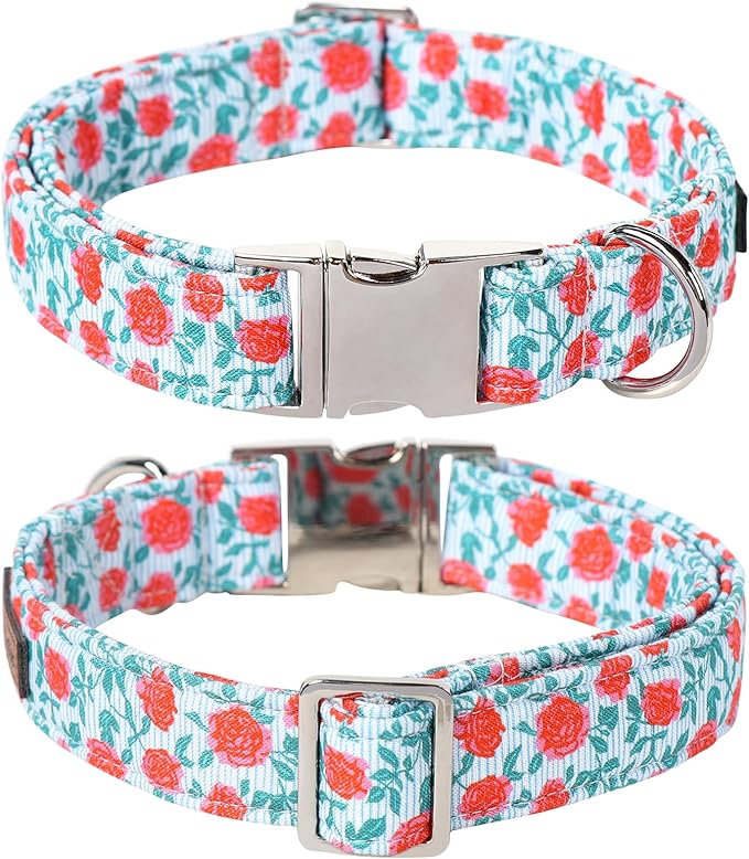 Lionet Paws Dog Collar, Comfortable Adjustable Cute Collar with Metal Buckle for Male Female Dogs Gift, Rose, Small, Neck 10-16 inches