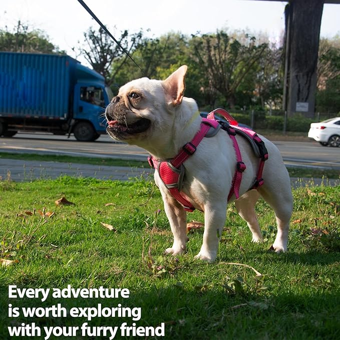 Escape Proof Dog Harness, Escape Artist Harness, Reflective Dog Harness with Handle, Durable,Adjustable Vest for Small Medium Large Dogs Walking, Training, and Running Gear(Rose Red, L)