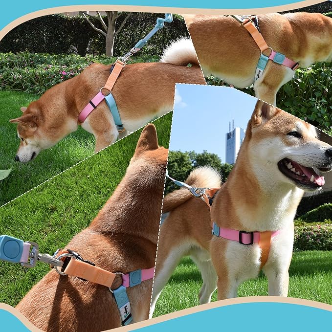 Tri-Color Dog Harness and Purple Pink Gradient Shock Absorbing Dog Leash Set,Step-in Freedom Dog Vest Harness,Strong Padded Handle to Help Stop Pulling for Small Dog Walking and Traning