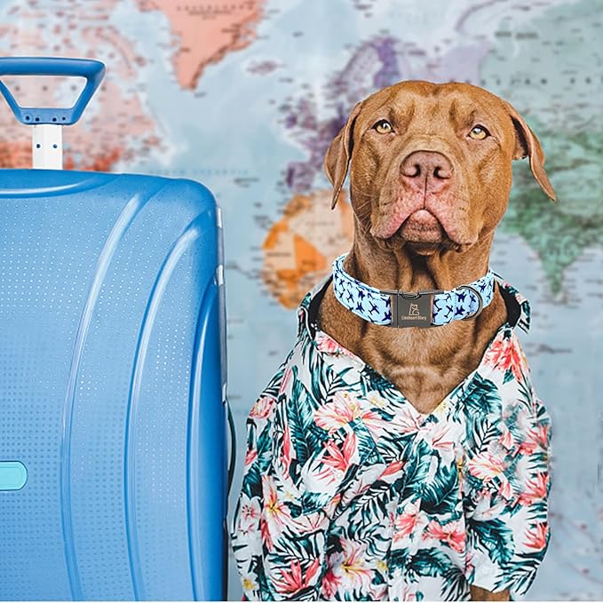 Lionheart glory Dog Collar, Blue Dog Collar Boy Dog Collars Heavy Duty Adjustable Collar for Large Dogs Pet Gift