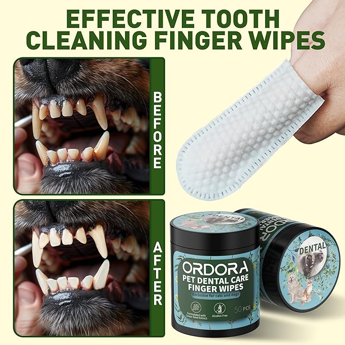 ORDORA PET Teeth Cleaning Wipes for Dogs & Cats, Dog Teeth Cleaning Finger Wipes - Dog Tooth Brushing Kit Dental Wipes - Reduces Plaque & Freshens Breath (50 Pcs)