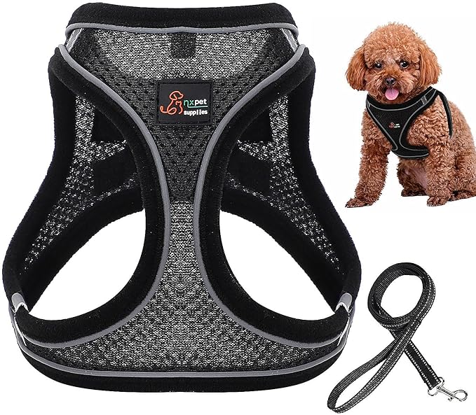 Step-in Air Dog Harness and Dog Leash- All Weather Mesh Step in Vest Harness for Small and Medium Dogs, Reflective Harness and 5FT Leash for Confident Walking at Night (Black,X-Large)