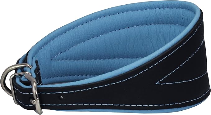 Real Leather Extra Wide Padded Tapered Dog Collar Glossy Black Greyhound Saluki Deerhound Lurcher Whippet Dachshund (16.75"-20" Neck; 3" Wide, Baby-Blue)