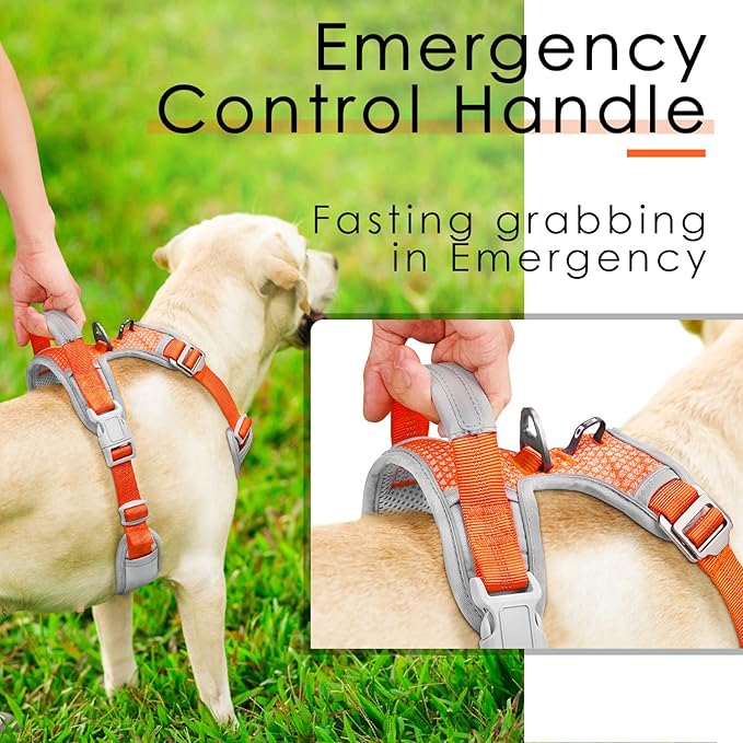 ThinkPet No Pull Harness Breathable Sport Vest with Handle-Dog Harnesses Reflective Adjustable for Medium Large Dogs