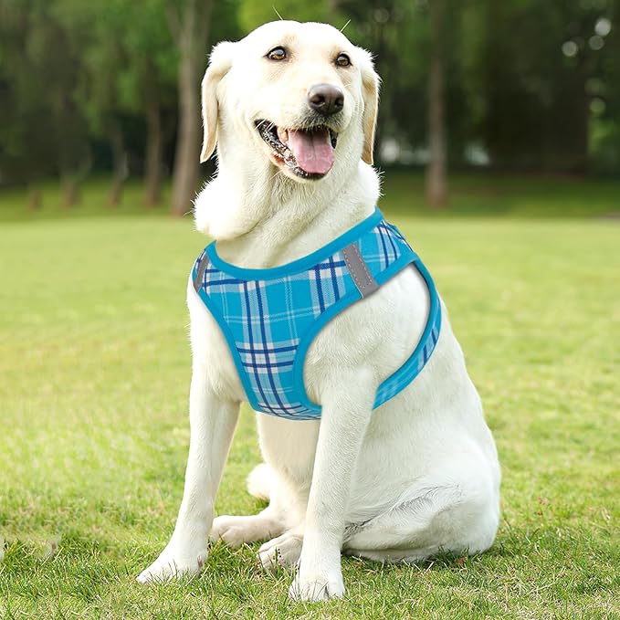 Athena Collection Step-in Dog Harness with 5 ft Leash, Large Dog Harness Leash Set Large No Pull Dog Vest Harness with Reflective Strips Adjustable Velcro, Easy Walk Dog Harness, Blue