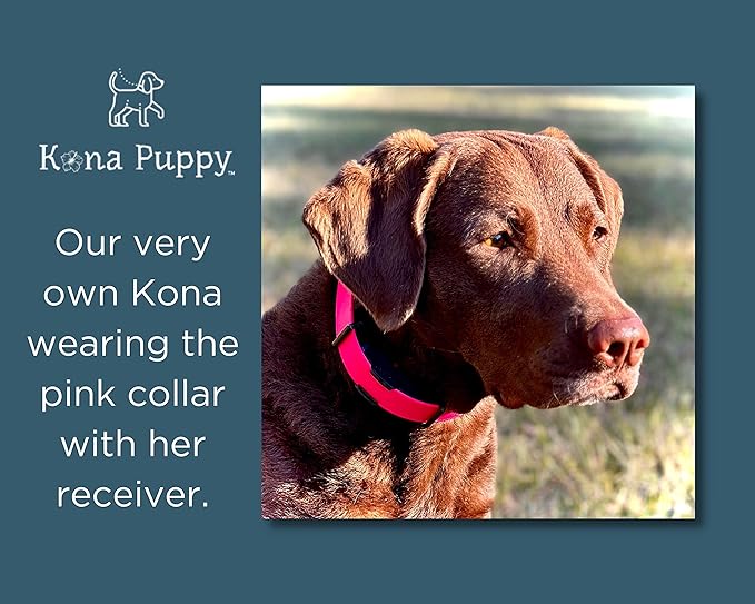 Waterproof E-Collar Replacement Strap Dog Collar for Invisible Fence/ecollar - Easy On Bungee