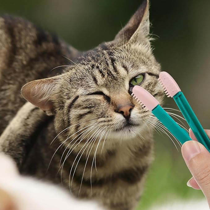 POPETPOP 2 Pcs Pet Eye Comb Tear Tool - Multifunctional Cat Eye Comb Brush, Dog Grooming Combs for Dogs Cats Removing Crust and Mucus