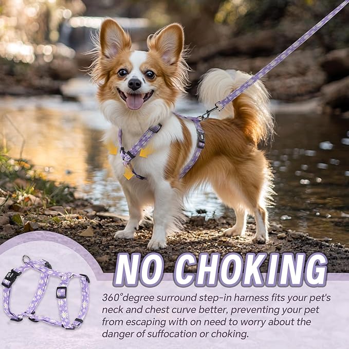 Dog Harness Leash Set, No Pull Adjustable Halter Cute Comfort Padded Handle for Medium Sized Large Small Dogs Walking Training Running with Reflective（Large,Purple）