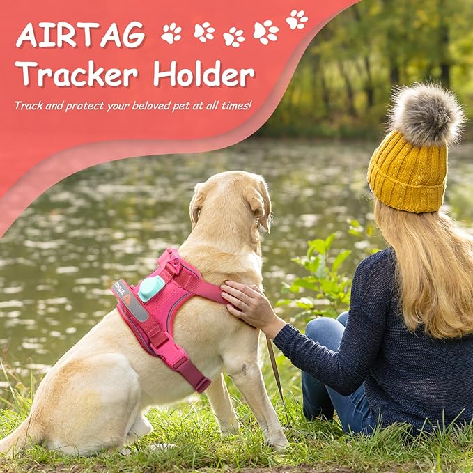 AUROTH Dog Harness Small Sized Dog, Small No Pull Dog Harness, Dog Harness for Small Dogs, Harness Small Size Dog Vest Harness with Handle, Rose Red S
