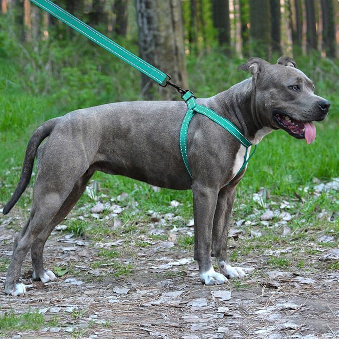 CollarDirect Reflective Dog Harness Step in Small Medium Large for Outdoor Walking, Comfort Adjustable Harnesses for Dogs Puppy Pink Black Red Purple Mint Green Orange Blue (Small, Mint Green)