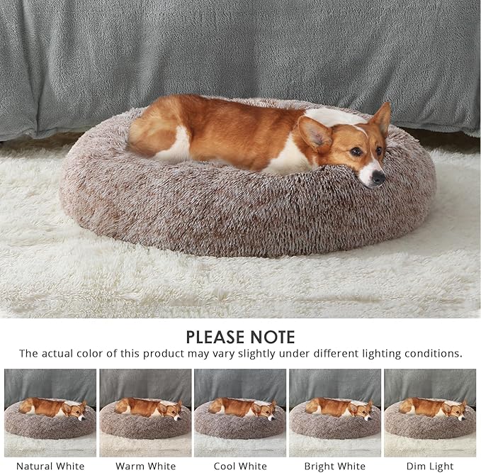 JOLLYVOGUE Dog Beds, Calming Small Dog Bed, Anti-Anxiety Dog Bed for Small Dogs, Fluffy Donut Dog Bed, Cozy Dog Cat Cushion Bed for Small Medium Dogs (24")