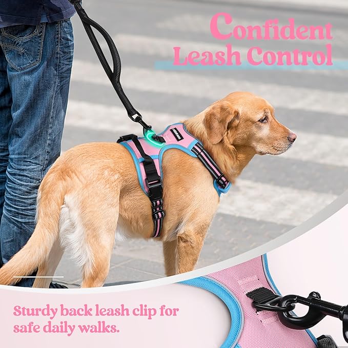 rabbitgoo Dog Harness, No-Pull Pet Harness with 2 Leash Clips, Adjustable Soft Padded Dog Vest, Reflective No-Choke Pet Oxford Vest with Easy Control Handle for Large Dogs, Pink & Blue, S
