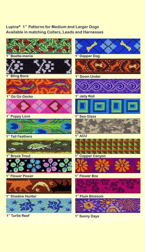 LupinePet Originals 1" Flower Power 12-20" Adjustable Collar for Medium and Larger Dogs