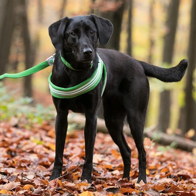 HUGO & HUDSON Easy Walk Dog Harness, Adjustable Quick Dry No-Pull Pet Harness, Green, Size 2