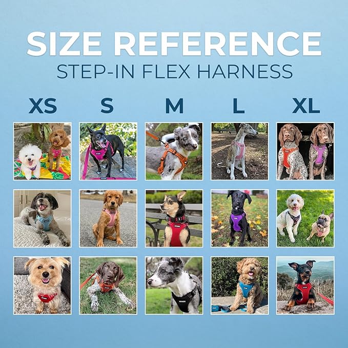 Best Pet Supplies Voyager Adjustable Dog Vest Harness Breathable No Pull Harness for Small, Medium, Large Dogs, Heavy Duty Harness for Walking, Jogging, Easy Step-in, Reflective Stripes - (Black), M