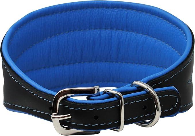 Real Leather Extra Wide Padded Tapered Dog Collar Glossy Black Greyhound Saluki Deerhound Lurcher Whippet Dachshund (11"-13" Neck; 2" Wide, Blue)