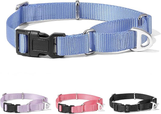 Rttochfy Martingale Dog Collars, Adjustable Nylon Dog Collar with Quick Release Buckle, No Choke Dog Training Collar for Small Medium Large Dogs (Blue, M)