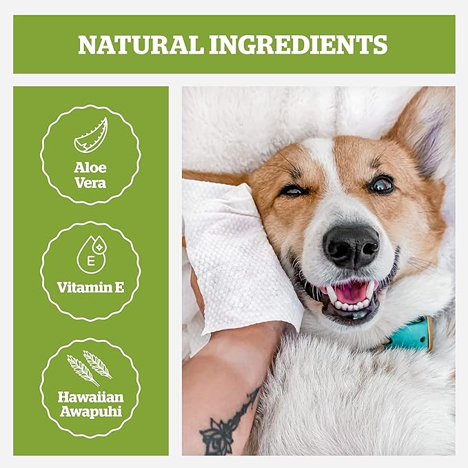 Pogi’s Dog Wipes Travel Packs – Hypoallergenic Pet Wipes for Paws, Body & Butt – Cleaning & Hydrating, Green Tea Scent, 240-Count