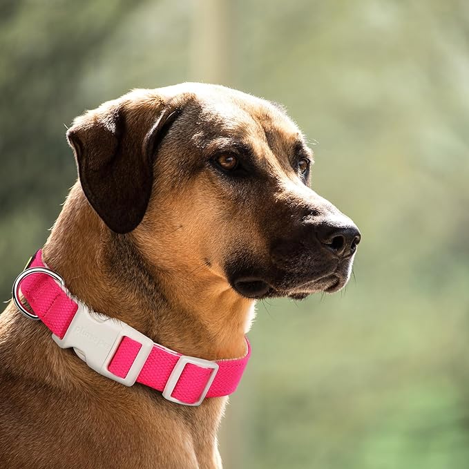 Plutus Pet Cotton Dog Collar, Heavy Duty Collar with Soft Padding, Adjustable and Comfortable for Small Medium and Large Dogs, Hot Pink, XS