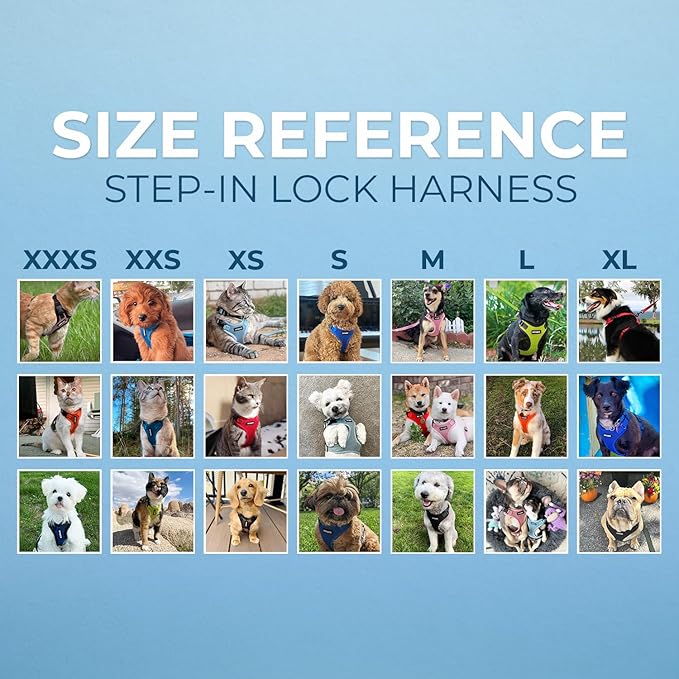 Voyager Step-in Lock Dog Harness w Reflective Dog Leash Combo Set with Neoprene Handle 5ft - Supports Small, Medium and Large Breed Puppies/Cats by Best Pet Supplies - Purple, XS