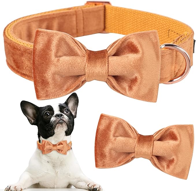 ARING PET Bowtie Dog Collar,Velvet Dog Collars with Detachable Bowtie, Yellow Soft Dog Collar,X-Large.