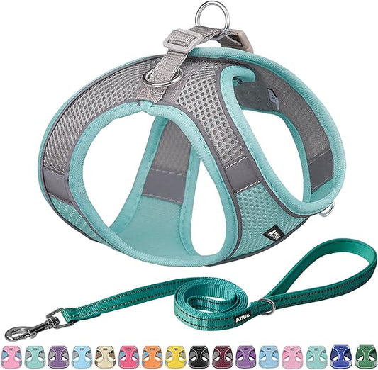 AIITLE Escape Proof Dog Harness - Step in Adjustable Dog Harness No Choke Over with Breathable Mesh for Spring- Outdoor Walking, Camping, Training for Medium Dogs Turquoise XL