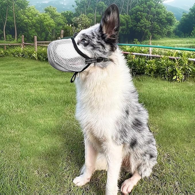 Large Dog Muzzle, Muzzle for Large Dogs to Prevent Eating/Chewing/Biting, Breathable Reflective Adjustable Medium Dog Accessories Dog Muzzle (Grey, S)