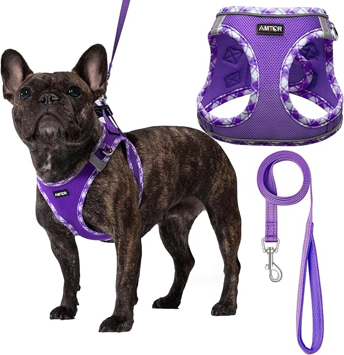 AMTOR Small Dog Harness with Leash Set, No Escape Easy Walk Puppy Harnesses for Training Walking, Step-in Reflective Soft Dogs Vest for XS S Medium Extra-Small Large Sized Dog(Purple,L)