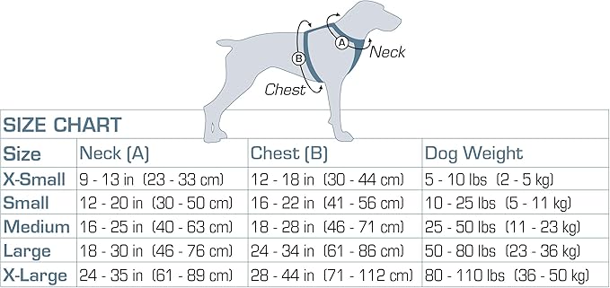 Kurgo Tru-Fit Smart Harness, Dog Harness, Pet Walking Harness, Quick Release Buckles, Front D-Ring for No Pull Training, Includes Dog Seat Belt Tether (Grey, Large)