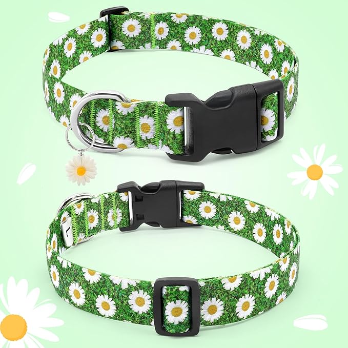 BiPawTi Green Dog Collars for St. Patrick's Day, Floral Dog Collars for Medium Dog - Pretty Flower Spring Dog Collar with Daisies Charms, Gift for Female Male Boys Girls Dogs (M, Green)