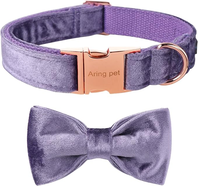 ARING PET Bowtie Dog Collar-Velvet Dog Collars with Removable Bowtie, Cute &Comfortable Purple Dog Collar,Medium.