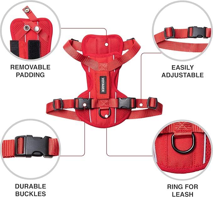 Voyager Freestyle 4-in-1 Dog Harness - Patent Pending Adjustable Webbing Harness with Removable Padding for Small to Large Dogs by Best Pet Supplies - Red, XS