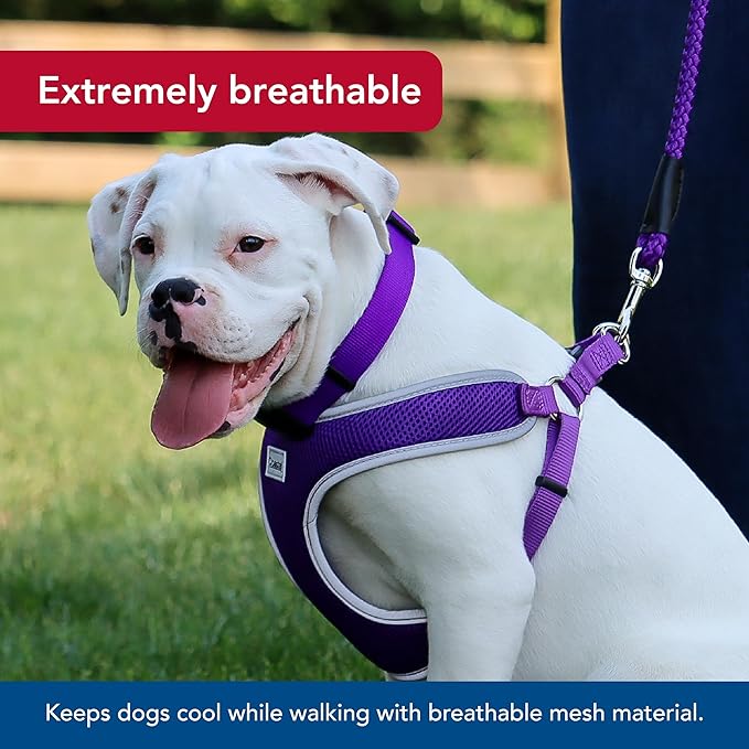 Coastal Pet Comfort Soft Reflective Wrap Adjustable Dog Harness - No-Pull Dog Harness for Small & Large Dogs - Purple - 1" x 28"–36"