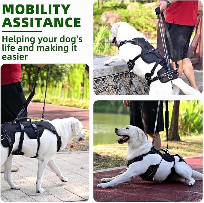 PUPTECK Dog Lift Harness for Medium Large Sized Dog, Rehabilitation Sling for Hind Leg Support, Multifunctional Mobility Assistance Harness for Old, Disabled, Joint Injuries, Arthritis, Paralysis Dogs