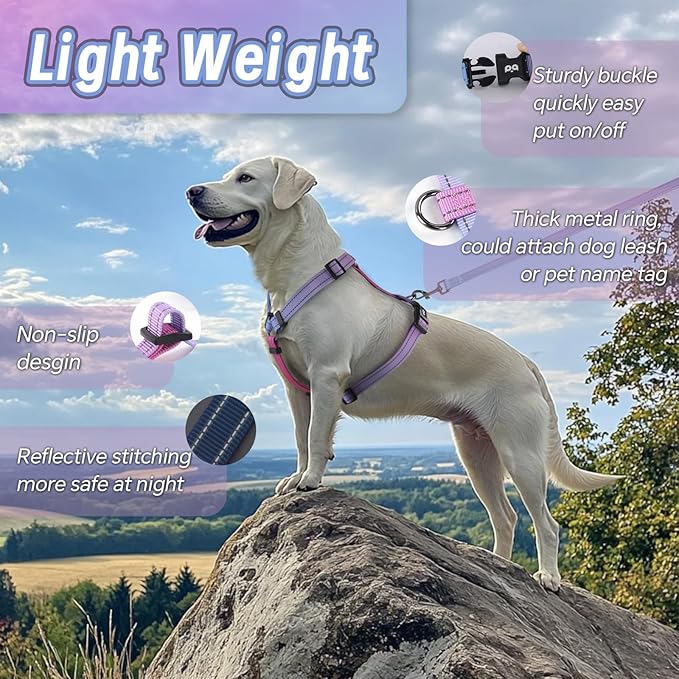 Dog Harness Leash Set, No Pull Adjustable Halter Cute Comfort Padded Handle for Medium Sized Large Small Dogs Walking Training Running with Reflective（Large,Red Blue）