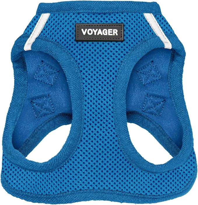 Voyager Step-in Air Dog Harness - All Weather Mesh, Reflective, No Pull Harness for Small, Medium Dogs, Cats - Secure with Hook & Loop Fastener, Buckle, Double D-Rings - Royal Blue, M