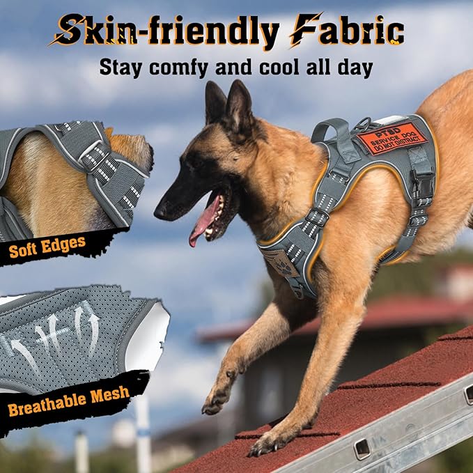 rabbitgoo Dog Harness Medium Sized No Pull, Tactical Service Dog Vest with Molle and Control Handle, Adjustable and Reflective Military Pet Harness for Easy Walking and Training, Grey, M