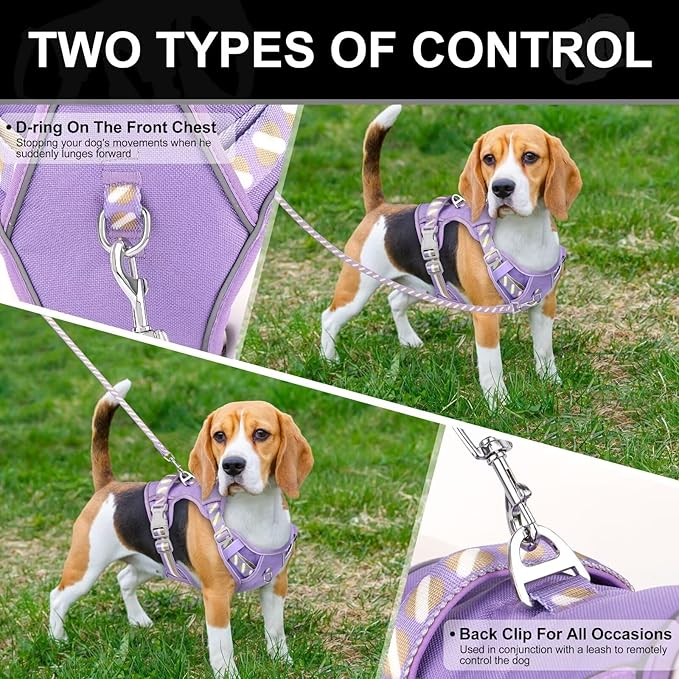 No Pull Dog Harness and Leash Set,Reflective Dog Harness with Easy Control Soft Handle,Adjustable and Comfortable for Easy Walking,Fit Small Medium Large Breed Dogs,Purple,L