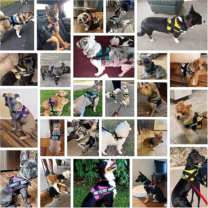 Bolux Dog Harness, No-Pull Reflective Dog Vest, Breathable Adjustable Pet Harness with Handle for Outdoor Walking - No More Pulling, Tugging or Choking X-Small (Pack of 1) RoseTurquoise