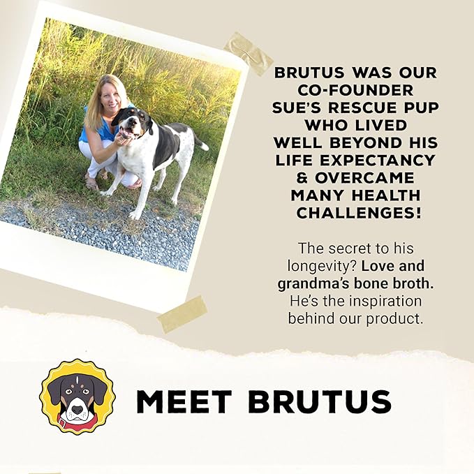 Brutus Broth Instant On The Go Vegetable Powder for Dogs - Vegetable Powder with Omegas 3, 6 & 9 & Turmeric - Human Grade Dog Food Toppers for Dry Food & Picky Eaters - 10 Stick (Salmon Flavor)
