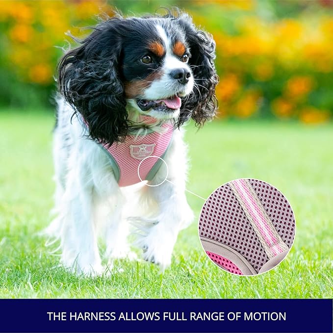 HUGO & HUDSON Dog Harness No-Pull Pet Harness Adjustable Quick Dry Mesh Padded Vest, Pink, L