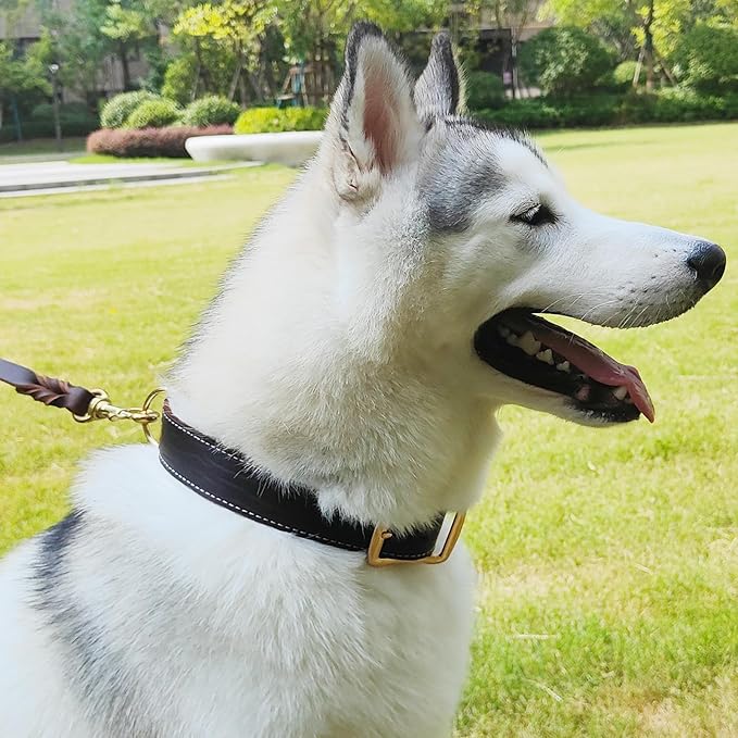 Leather Dog Collar,Heavy Duty Dog Collar Leather,with Strong Metal Buckle Genuine Leather Collar for Dogs,for Small Dog,Medium Dog,Large Dog and Extra Large Dog (XL: 1.4" Width for 19.7"-25.6" Neck)