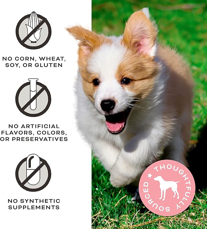 Primal Freeze Dried Dog Treats; Pork Liver Dog Treats with Probiotics for Dogs; Liver, Laugh, Love; Crunchy Grain Free Training Treats for Dogs, 1.5 oz (Pack of 2)