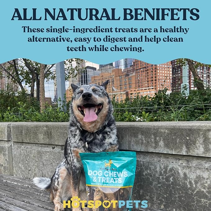 hotspot pets Premium Medium Whole Deer Antlers for Dogs - 5+ Inch Medium Sized Deer Antler Dog Chews - Naturally Shed for Small and Medium Breed Aggressive Chewers - Sourced in USA (Pack of 1)