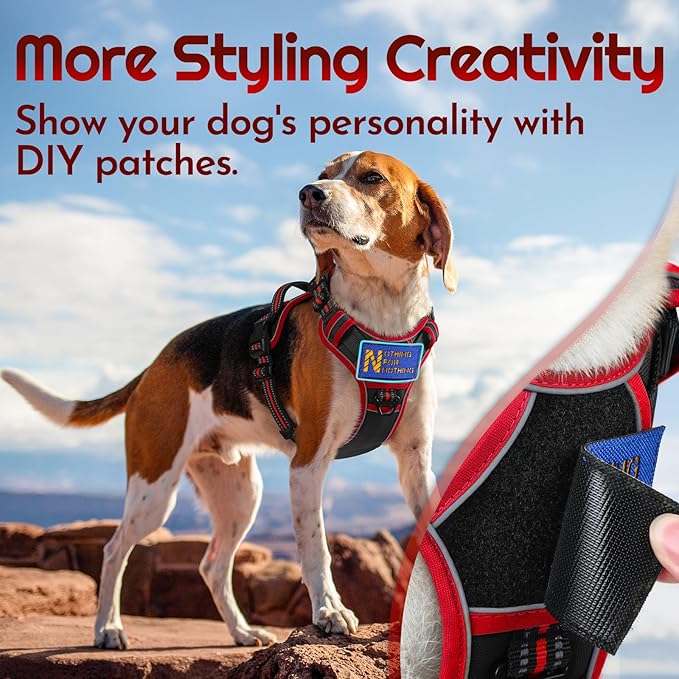 Eagloo Dog Harness Medium Sized, Easy Wearing with 3 Buckles, Adjustable No Pull Pet Harness with 2 Rings for Walking, No Chock Reflective Soft Padded Vest with Control Handle, Black & Red, M