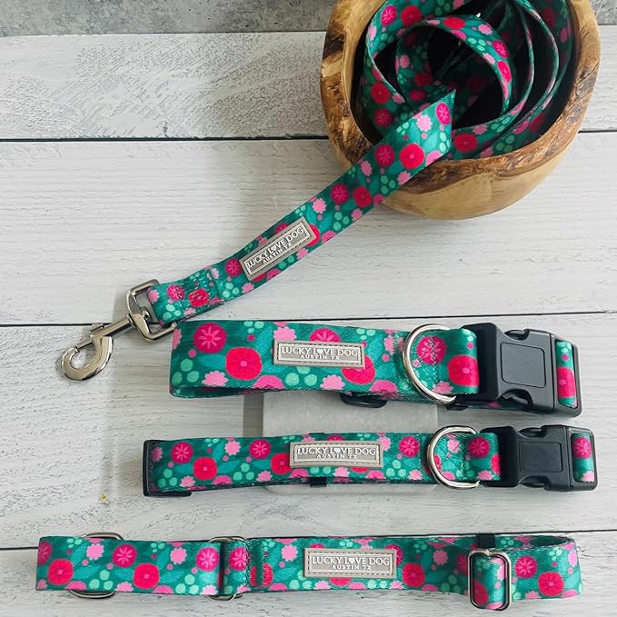 Lucky Love Dog Collar, Stripes Pattern Dog Collar for Tiny Dogs, Comfortable & Soft Dog Collars, Penny, XS…