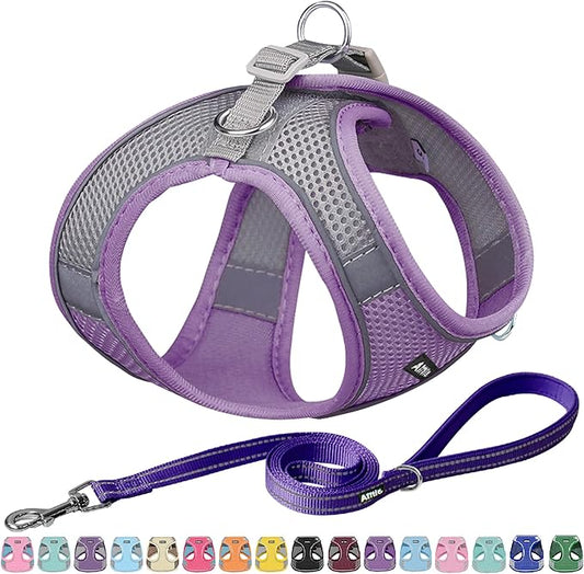 AIITLE Easy Walk Dog Harness and Leash Set - Pet Supply No Pull, Step in Adjustable Dog Harness with Padded Vest for Spring, Dog Harness No Choke Over, Easy to Put on Medium Dogs Purple L