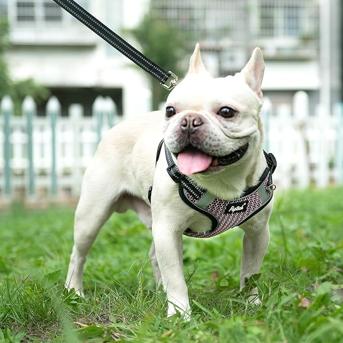 PUPTECK No Pull Dog Harness and Leash Set Reflective No Choke Step in Puppy Halter for XS Small and Medium Sized Dogs, LightPink, Breathable Mesh, M
