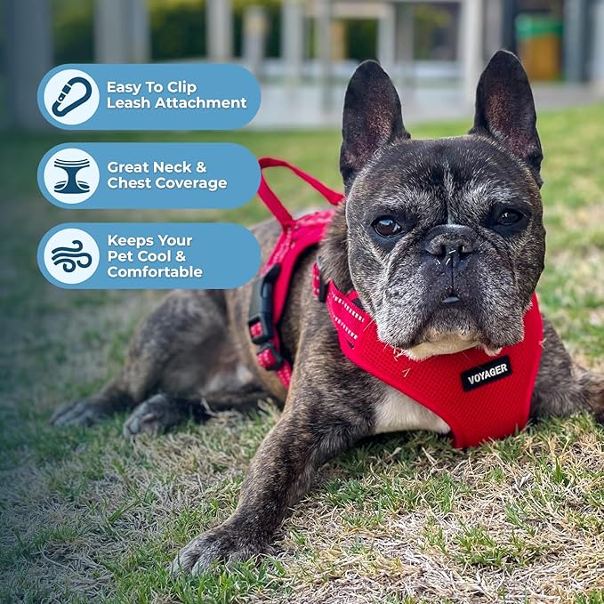 Best Pet Supplies Voyager Adjustable Dog Harness Leash Set with Reflective Stripes for Walking Heavy-Duty Full Body No Pull Vest with Leash D-Ring, Breathable All-Weather - Harness (Red), XL